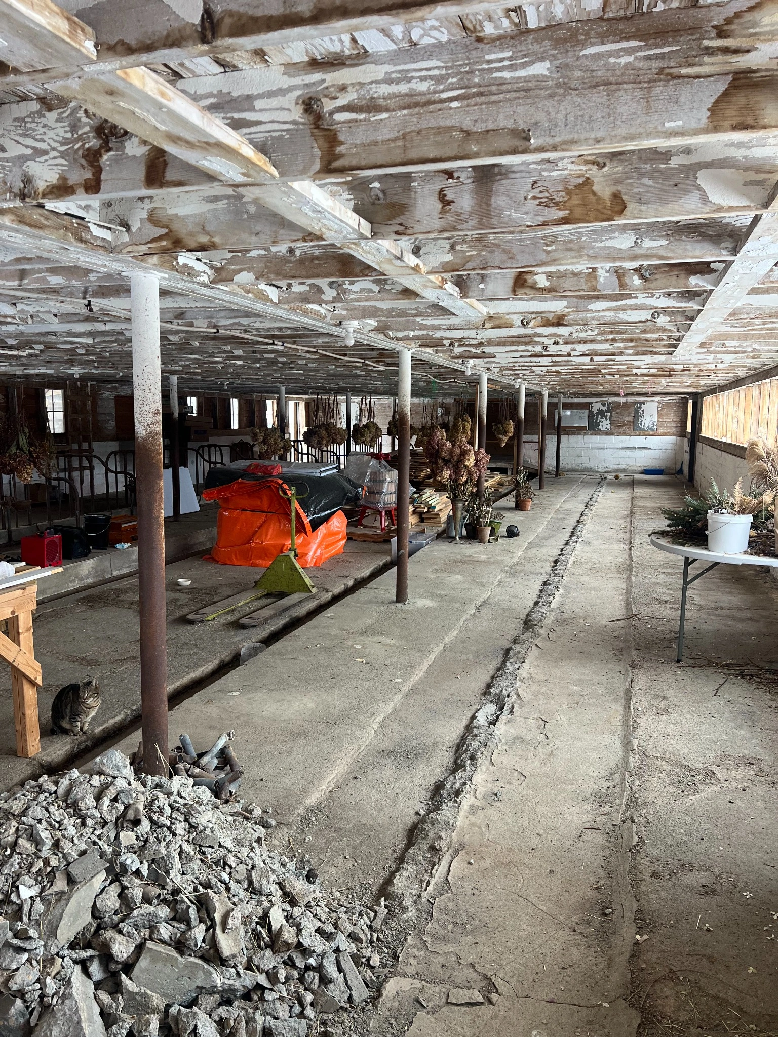 Barn lower level interior with concrete floor and support columns