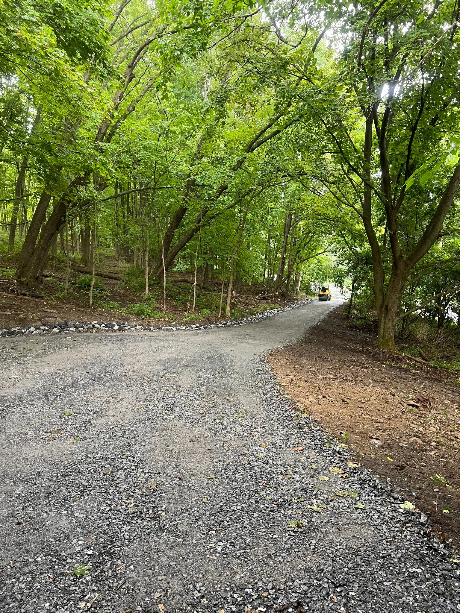 Curved gravel driveway built through wooded property